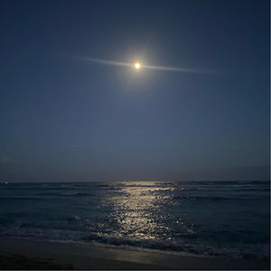 Meet your Posher, Krista